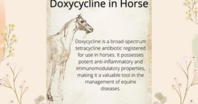 Doxycycline in horses