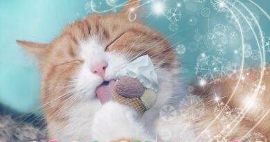 Can Cats Have Mint Ice Cream Is Mint Ice Cream Bad For Cats are cat allergic to mint ice cream