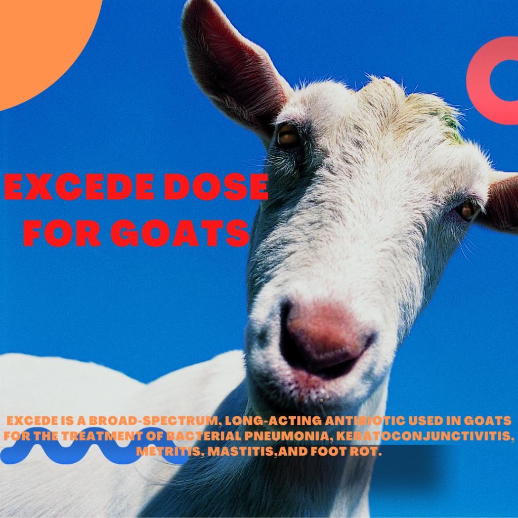 Excede Dose for Goats; Surprising Answers in 2 mints