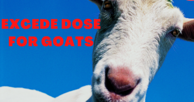 Excede Dose for Goats