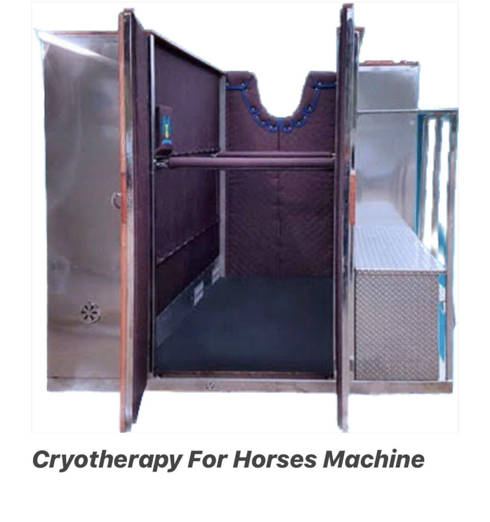 Cryotherapy for horses