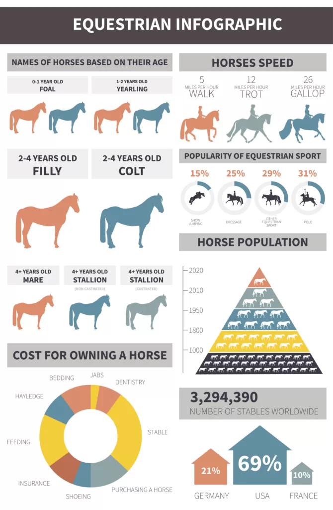 How long do horse live?