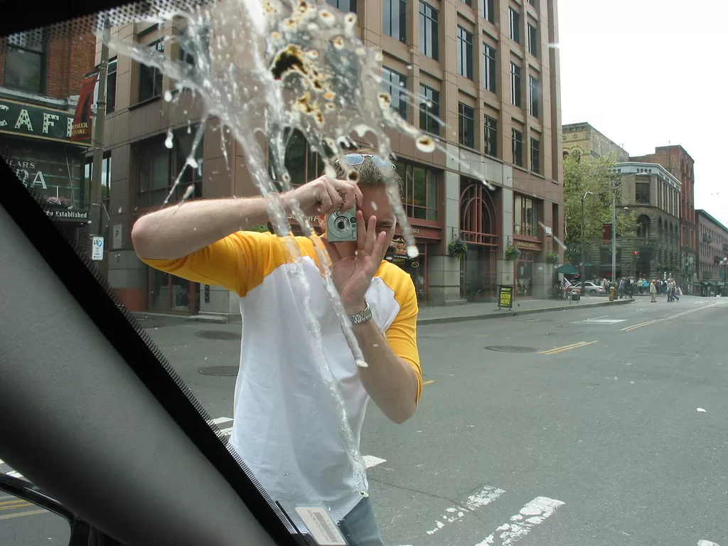 How To Get Bird Poop Off Car?