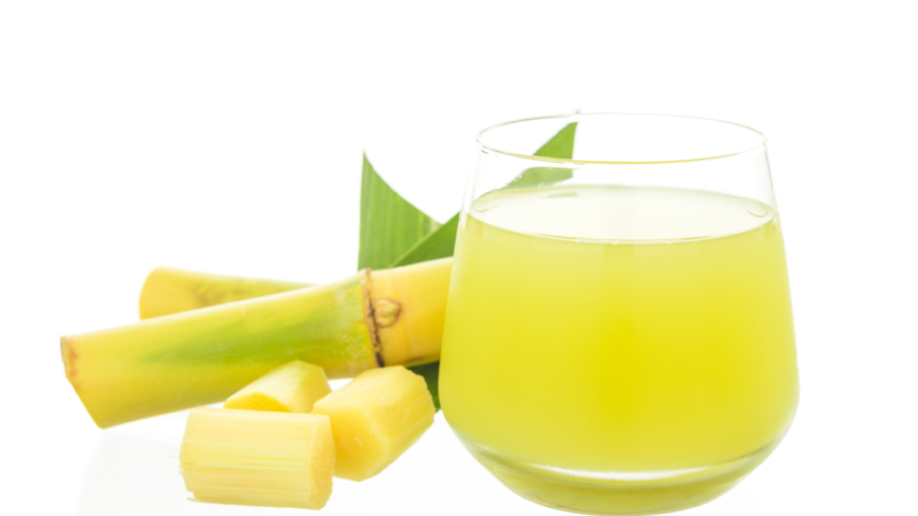 Can Dogs Drink Sugar cane Juice