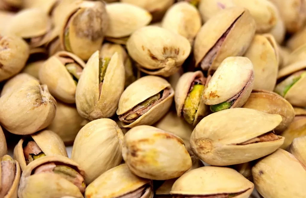 Can Birds Eat Pistachios?