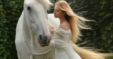 woman, horse, magical