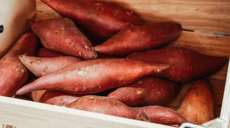 Sweet Potatoes in a Crate